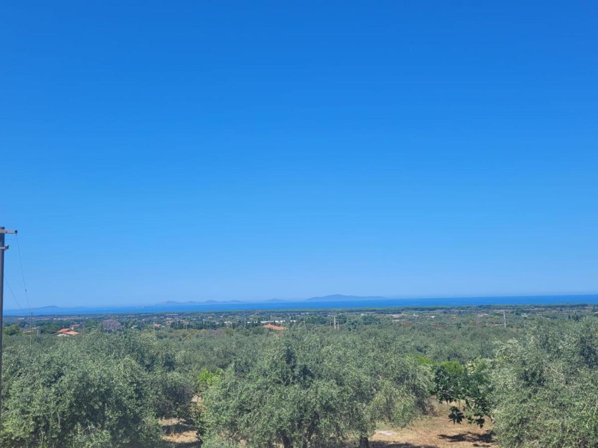 Villa Maddalena Guest House 索尔索 外观 照片
